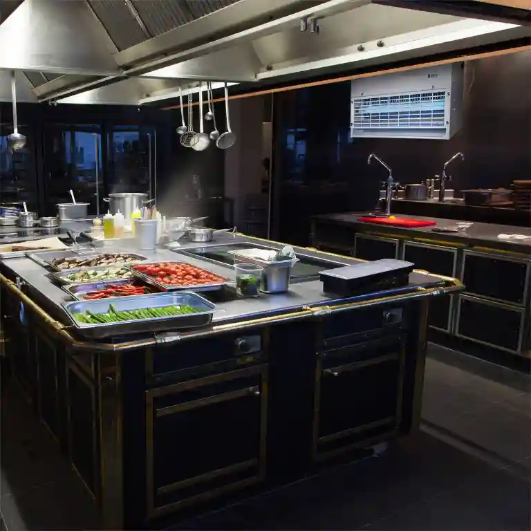 15W Xtreme Commercial with remote